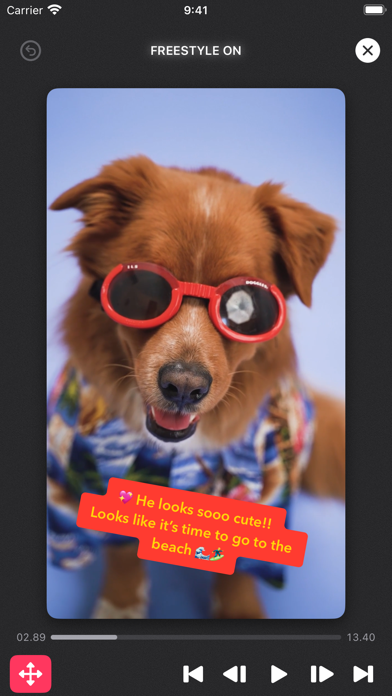 Captionista: Video Subtitles Screenshot
