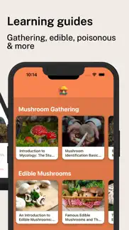 mushroom identification pro iphone screenshot 3