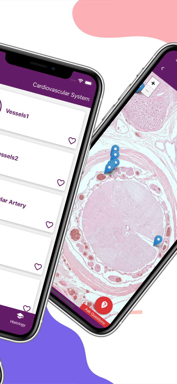Ehistolab - Histology Slides