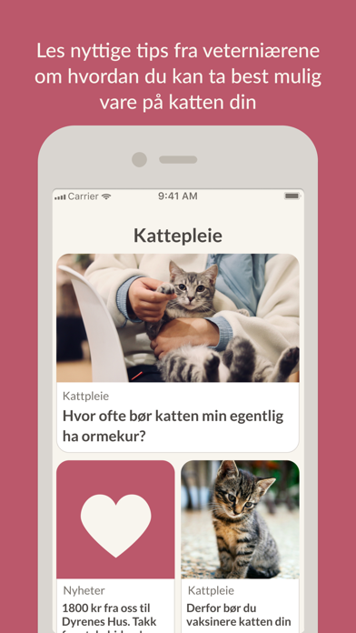 CatsOnly Screenshot
