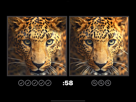 Screenshot #5 pour Spot the Difference Image Hunt