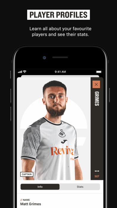 Swansea City Screenshot