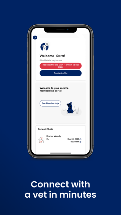 Vetama Screenshot