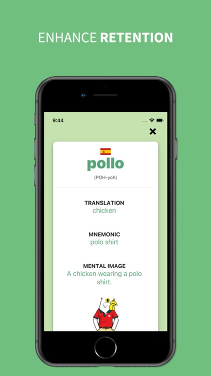 Lingua Link: Language Learning