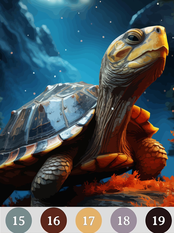 Oil Color Paint By Number