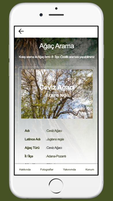 Anıt Agaçlar Screenshot