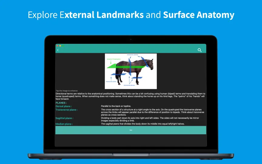 Equine Anatomy Learning iPhone Screenshot 5