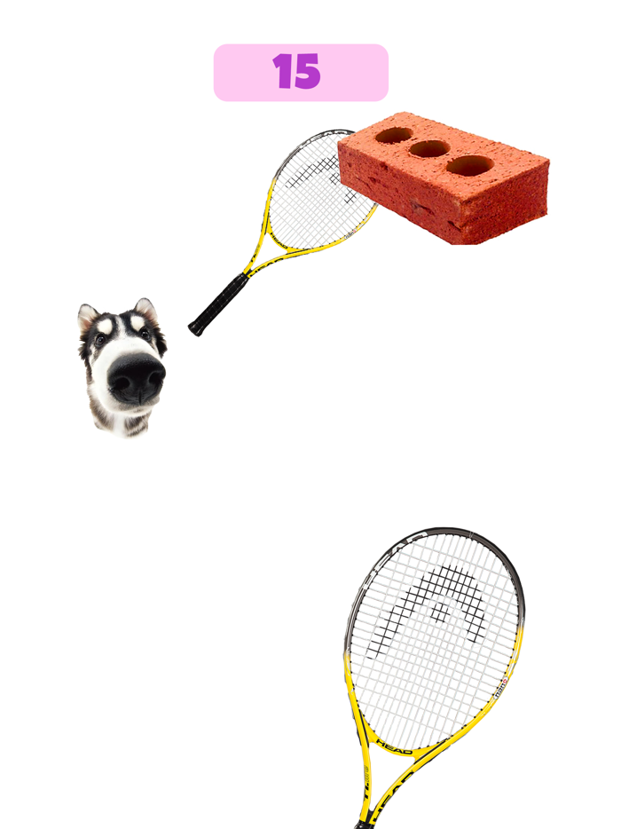 Dog and Cat Tennis