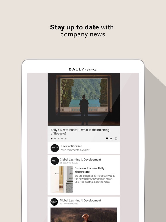 Screenshot #6 pour Bally Portal