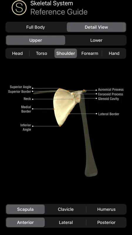Skeleton Study Guide screenshot 5 of 10