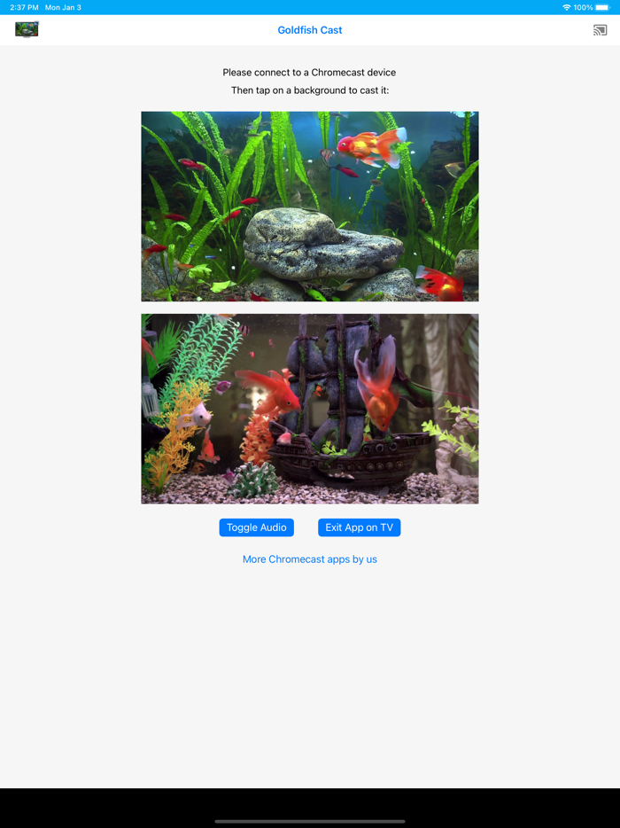 Goldfish Aquarium on TV