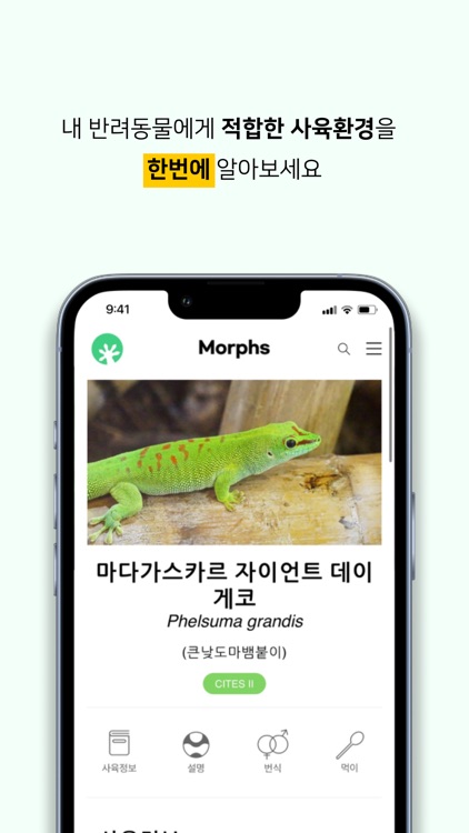 모프스 screenshot-3