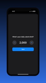 Minimal Calorie Tracker screenshot
