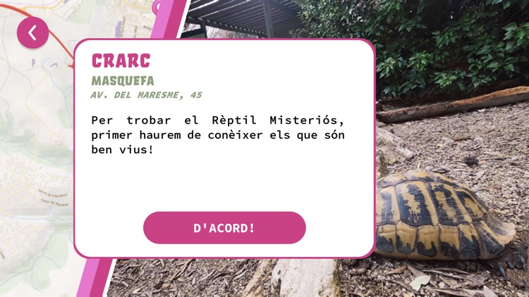 Daix i el Rèptil Misteriós