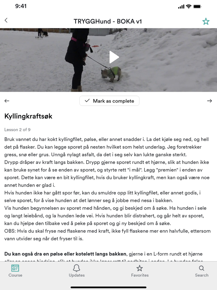 Hundetrener Carina Josefine