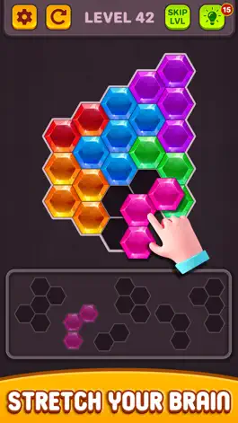 Game screenshot Hexa Block Puzzle: Tangram Puz apk