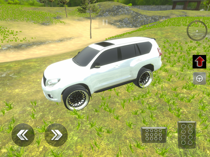 Crazy 4x4 Prado Offroad 2024