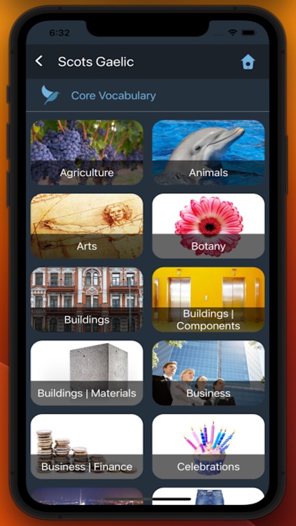Bluebird: Learn Scots Gaelic screenshot-5