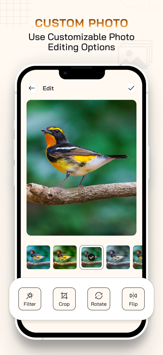 Photo Extract from Video