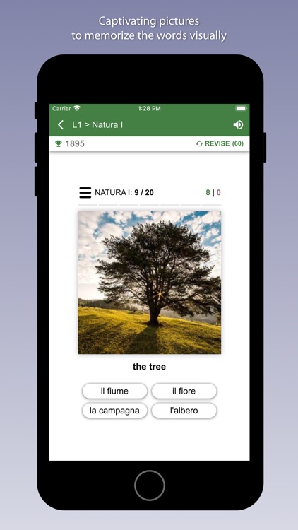 Learn Italian with Bilinguae screenshot-3