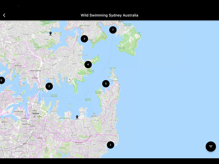 Wild Swimming Sydney Australia