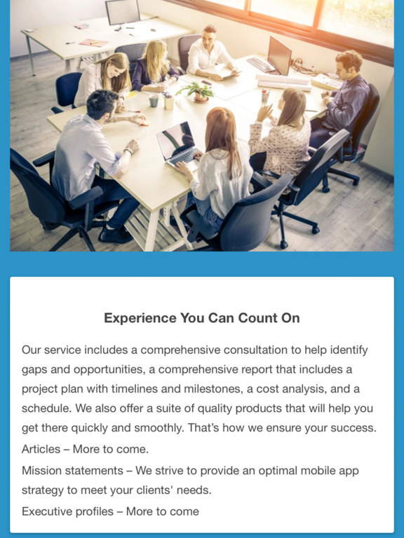 Screenshot #5 pour Vysion Consulting