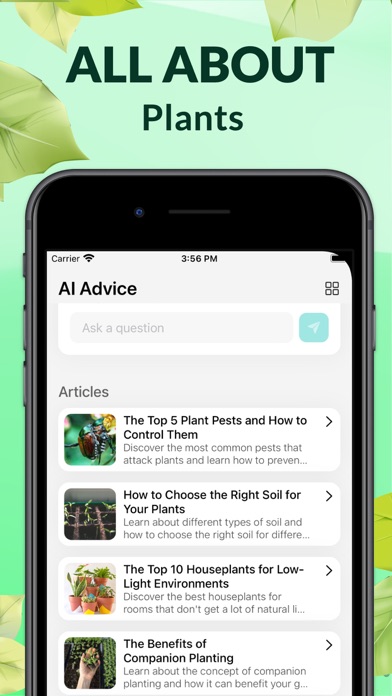 Wow Plant Identifier - AI Care Screenshot