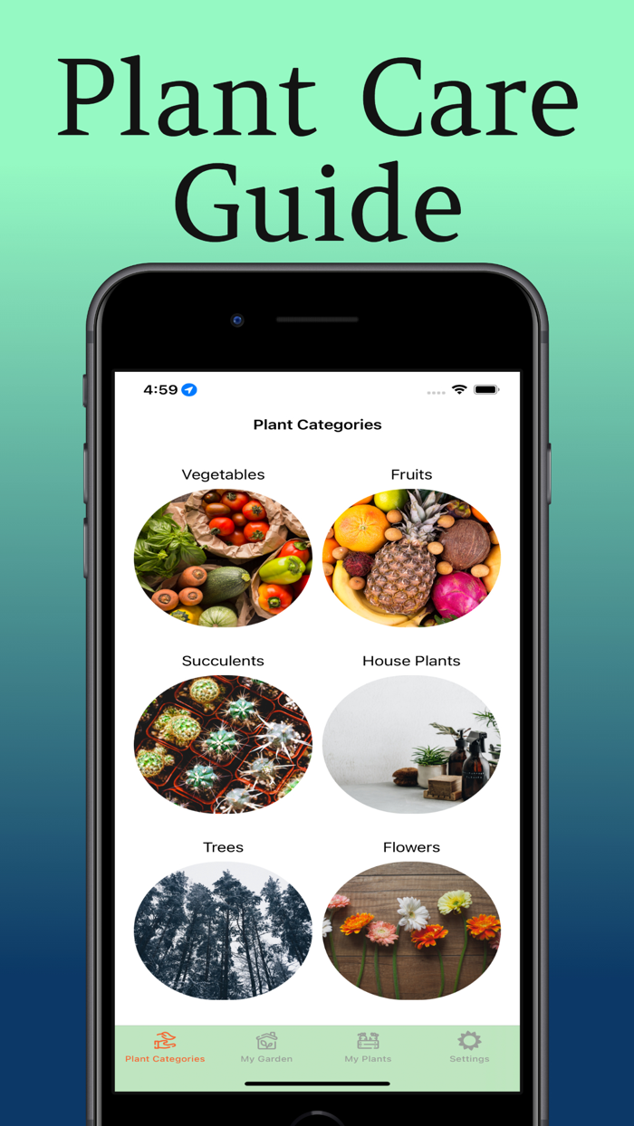 Plant Care Guide and Tips