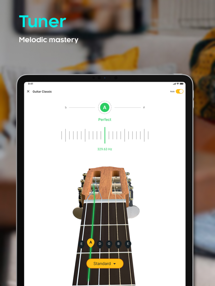 Iguitar  Tuner  Lessons