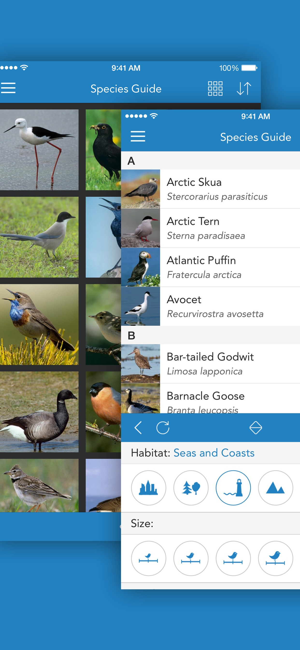Aves 2 PRO - NATURE MOBILE