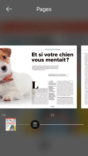 Cerveau & Psycho screenshot 4