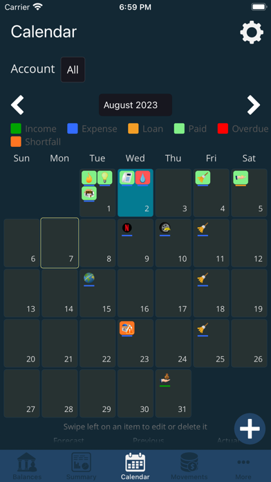 My Accounts and Expenses Screenshot