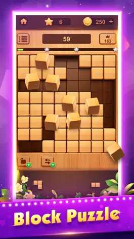 Game screenshot Wood Block Puzzle Games:Tetria mod apk