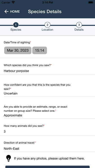 WhaleReport Legacy Screenshot