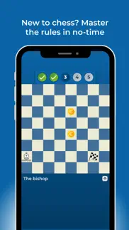 chessity iphone screenshot 3