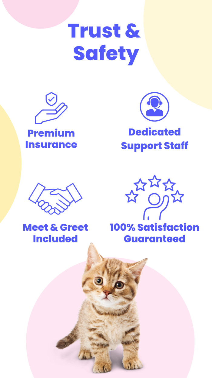 Meowtel In-Home Cat Sitting