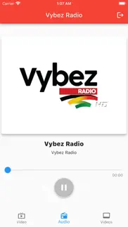 vybez radio problems & solutions and troubleshooting guide - 3