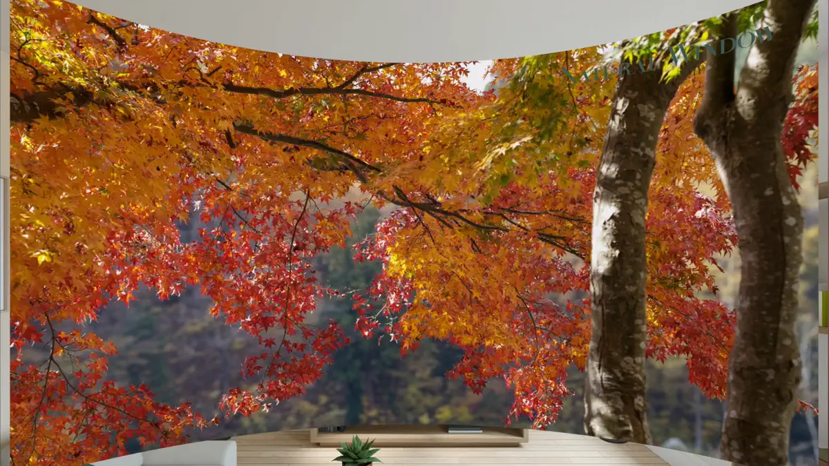 Natural Window screenshot 5