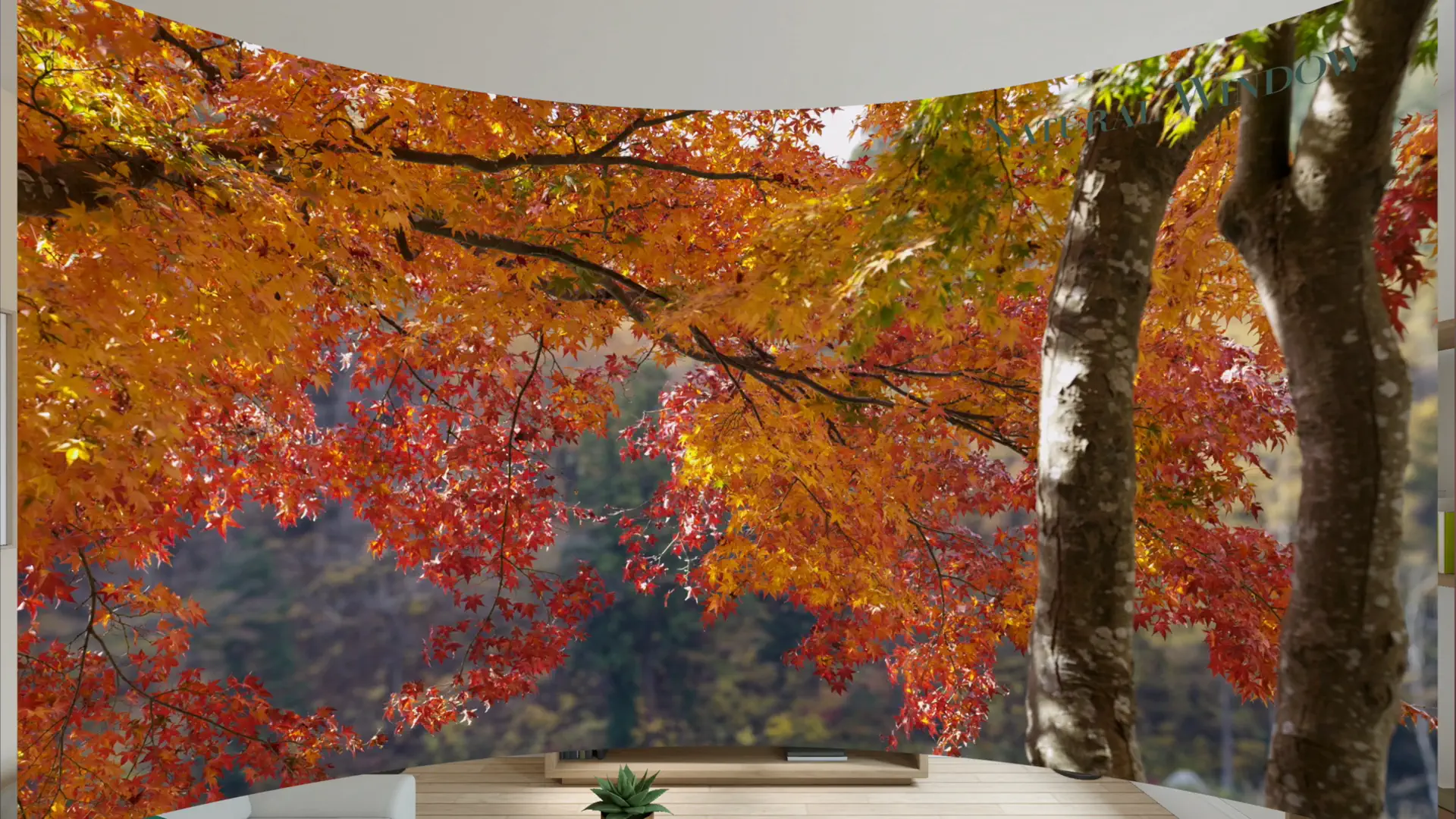 Natural Window screenshot 5