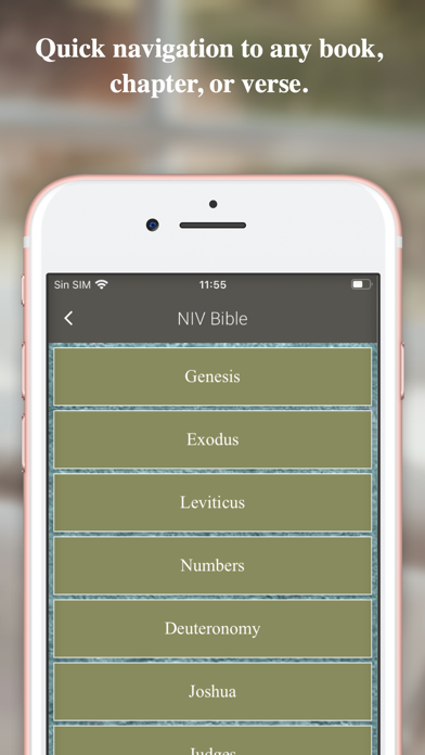 NIV Bible Offline Screenshot
