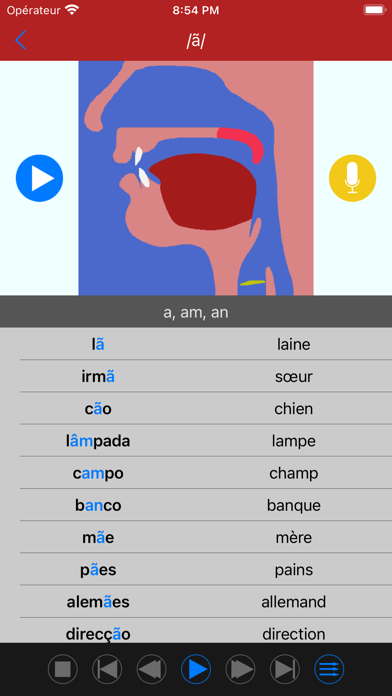Screenshot #2 pour Voix portugaise