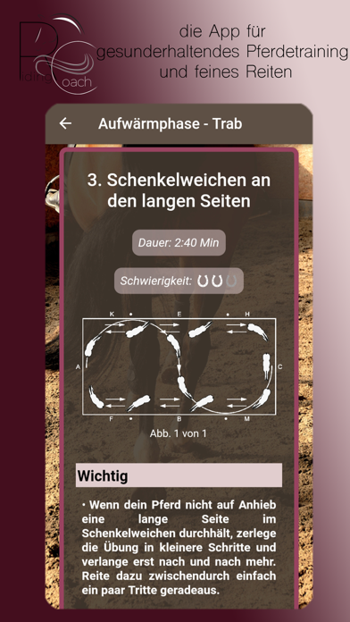 Riding Coach - die App Screenshot