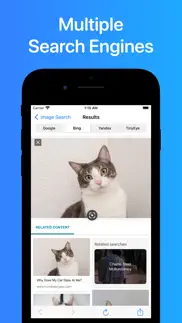 reverse image search app. iphone screenshot 2