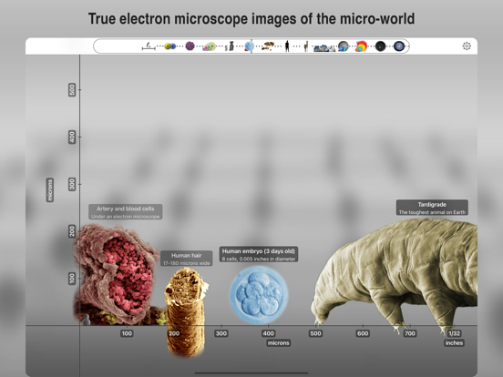 Universal Zoom iPad app afbeelding 7