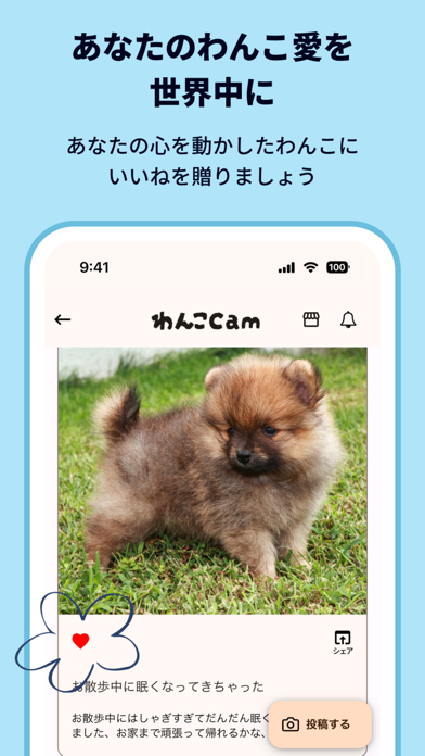 わんこCamのおすすめ画像4