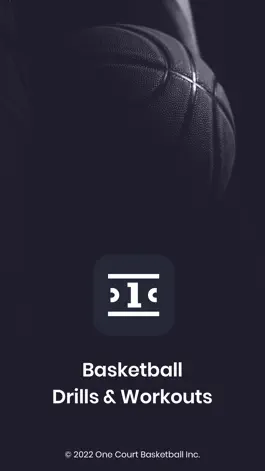 Game screenshot One Court Basketball mod apk