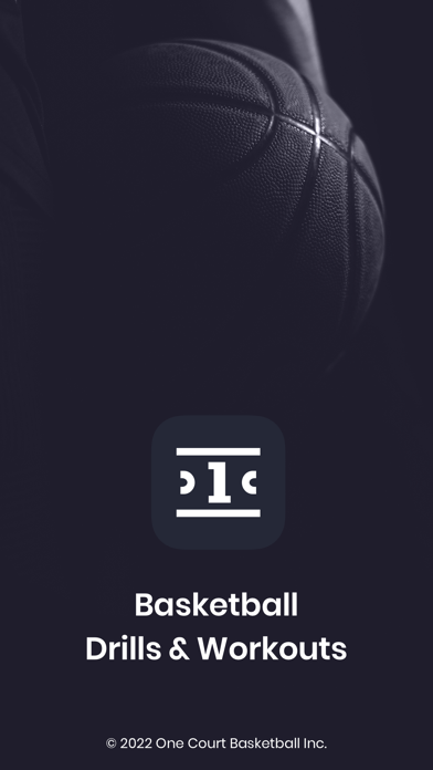 One Court Basketball Screenshot