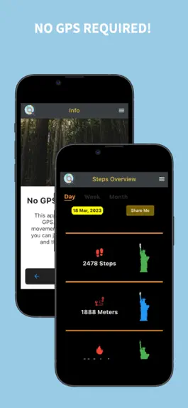 Game screenshot Virtual Walking: Step Tracker apk