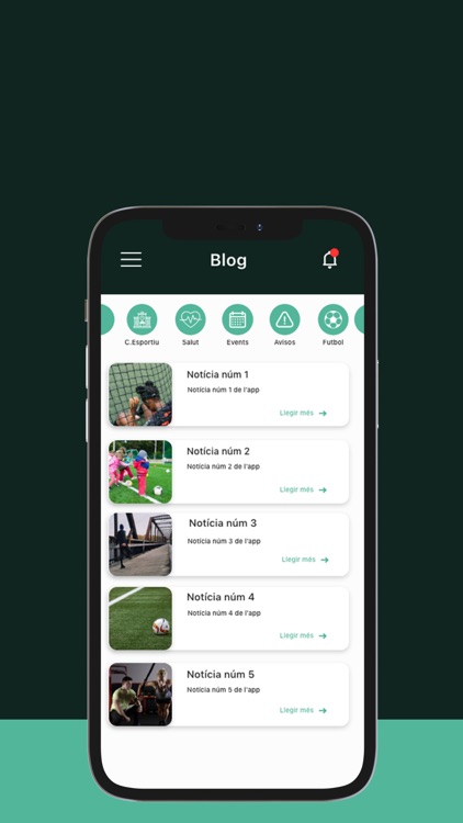 Ajuntament Olost screenshot-4