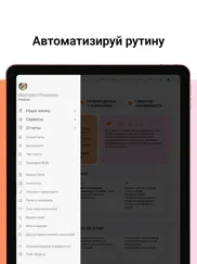 ЛапЭксперт айпад изображения 4